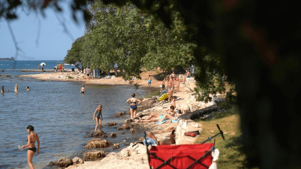 Easyatent Safari Tent Polari Ровінь Екстер'єр фото